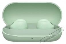 SONY Noise Cancelling WF-C700N, zöld Audio-Video / Hifi / Multimédia - Fül és Fejhallgatók - Fülhallgató - 510252