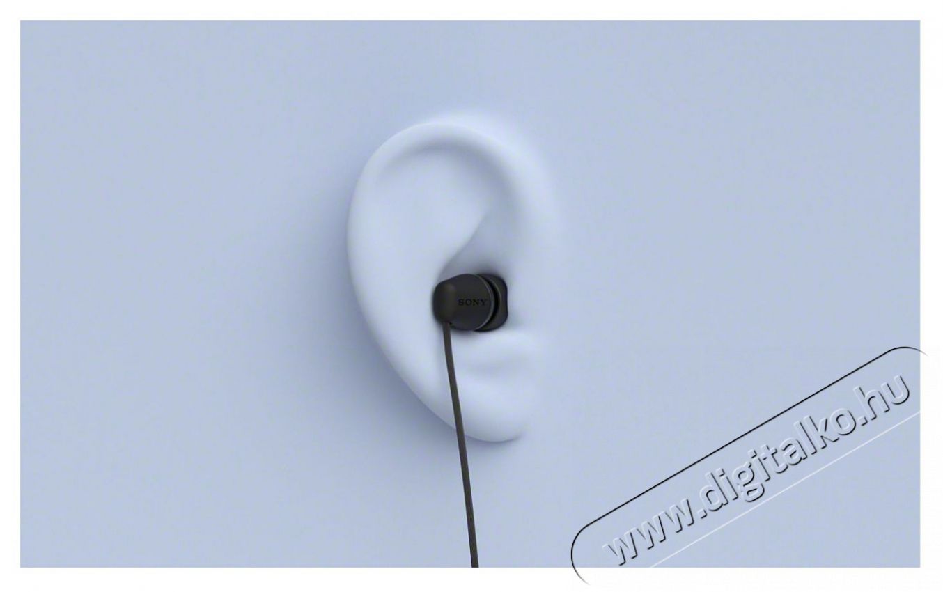 SONY IER-EX15C USB-C, k&eacute;k F&uuml;lhallgat&oacute; Audio-Video / Hifi / Multim&eacute;dia - F&uuml;l &eacute;s Fejhallgat&oacute;k - F&uuml;lhallgat&oacute; - 530111