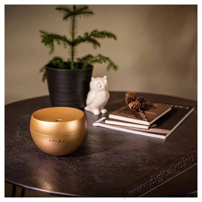 Stadler Form Jasmine Gold aroma diff&uacute;zor Fot&oacute;-Vide&oacute; kieg&eacute;sz&iacute;tők - F&eacute;nyterelő - Diff&uacute;zor - 532266