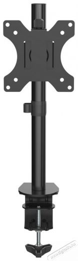 Stell SOS 1010 Single monitortartó Tv kiegészítők - Fali tartó / konzol - Asztali tartó - 339226