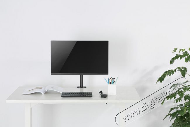 Stell SOS 1010 Single monitortartó Tv kiegészítők - Fali tartó / konzol - Asztali tartó - 339226