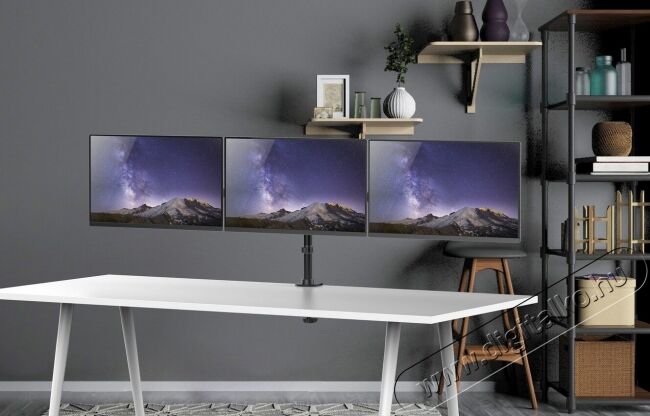 Stell SOS 1030 TRIPLE asztali monitortartó Tv kiegészítők - Fali tartó / konzol - Asztali tartó - 339228