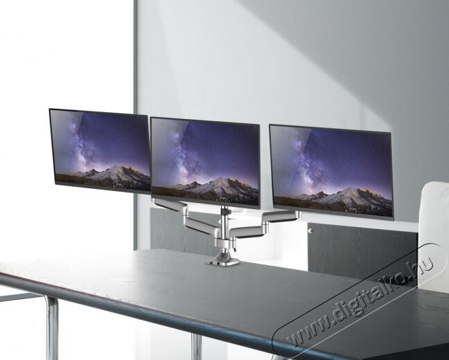 Stell SOS 2030 TRIPLE monitortartó Tv kiegészítők - Fali tartó / konzol - Asztali tartó - 339231