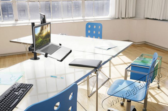 Stell SOS 1020 Dual asztali monitor tartó Tv kiegészítők - Fali tartó / konzol - Asztali tartó - 339227