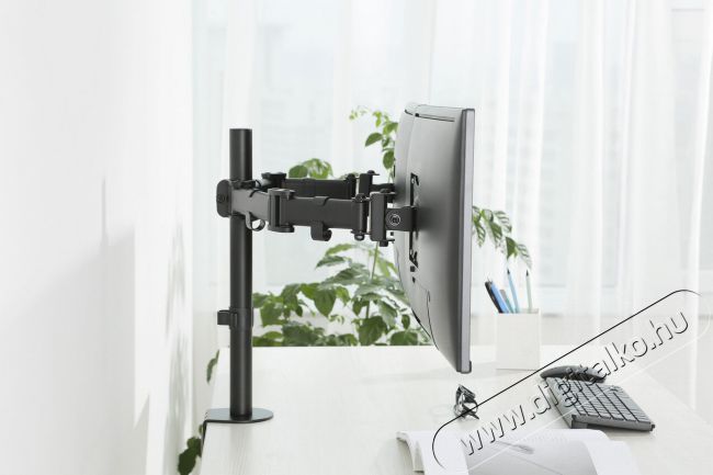 Stell SOS 1020 Dual asztali monitor tartó Tv kiegészítők - Fali tartó / konzol - Asztali tartó - 339227