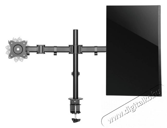 Stell SOS 1020 Dual asztali monitor tartó Tv kiegészítők - Fali tartó / konzol - Asztali tartó - 339227