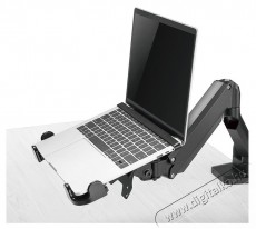 Stell SAA 4001 notebook tartó Egyéb - Nem forgalmazzuk ! - 376673