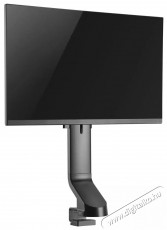 Stell SOS 1910 single monitor tartó Tv kiegészítők - Fali tartó / konzol - Asztali tartó - 376809