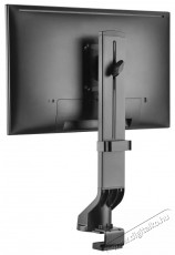 Stell SOS 1910 single monitor tartó Tv kiegészítők - Fali tartó / konzol - Asztali tartó - 376809