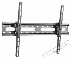 Stell SHO 4420 SLIM dönthető univerzális TV tartó Tv kiegészítők - Fali tartó / konzol - Fali tv tartó - 376759