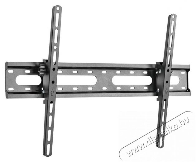 Stell SHO 4420 SLIM dönthető univerzális TV tartó Tv kiegészítők - Fali tartó / konzol - Fali tv tartó - 376759