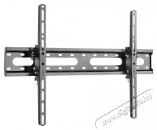 Stell SHO 4420 SLIM dönthető univerzális TV tartó Tv kiegészítők - Fali tartó / konzol - Fali tv tartó - 376759