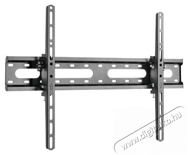 Stell SHO 4420 SLIM dönthető univerzális TV tartó Tv kiegészítők - Fali tartó / konzol - Fali tv tartó - 376759