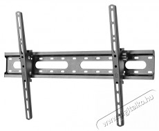 Stell SHO 4420 SLIM dönthető univerzális TV tartó Tv kiegészítők - Fali tartó / konzol - Fali tv tartó - 376759