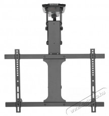 Stell SHO 8101 motoros mennyezeti TV tartókonzol Tv kiegészítők - Fali tartó / konzol - Mennyezeti tv tartó - 376760