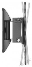 Stell SHO 7500 ADJU. HOLDER TV 23-42 Tv kiegészítők - Fali tartó / konzol - Fali tv tartó - 475666