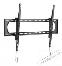 Stell SHO 7420 Fali Konzol Dönthető 60-120 COLL Tv kiegészítők - Fali tartó / konzol - Fali tv tartó - 496972