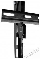 Stell SHO 7420 Fali Konzol Dönthető 60-120 COLL Tv kiegészítők - Fali tartó / konzol - Fali tv tartó - 496972