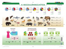 STIEFEL Százalékszámítás gyakorlóoldalas A3 alátét duo Háztartás / Otthon / Kültér - Egyéb háztartási termék - 440907