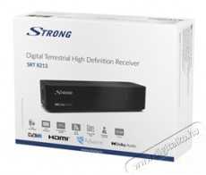 Strong SRT8213 DVB-T vevő Tv kiegészítők - DVB-T beltéri egység - Set-Top-Box - 379100