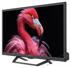 Strong 24  SRT24HG4723C Televíziók - LED televízió - 720p HD Ready felbontású - 506075