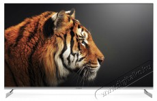 Strong 50  SRT50UF8733 Televíziók - LED televízió - UHD 4K felbontású - 506077