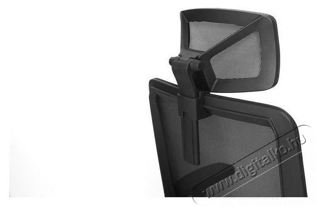 STX KB-8956AS Iroda &eacute;s sz&aacute;m&iacute;t&aacute;stechnika - Egy&eacute;b sz&aacute;m&iacute;t&aacute;stechnikai term&eacute;k - 518453