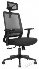 STX KB-8956AS Iroda &eacute;s sz&aacute;m&iacute;t&aacute;stechnika - Egy&eacute;b sz&aacute;m&iacute;t&aacute;stechnikai term&eacute;k - 518453