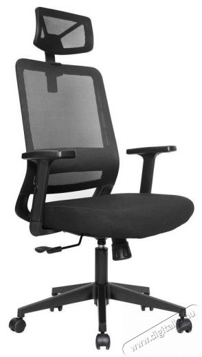 STX KB-8956AS Iroda &eacute;s sz&aacute;m&iacute;t&aacute;stechnika - Egy&eacute;b sz&aacute;m&iacute;t&aacute;stechnikai term&eacute;k - 518453