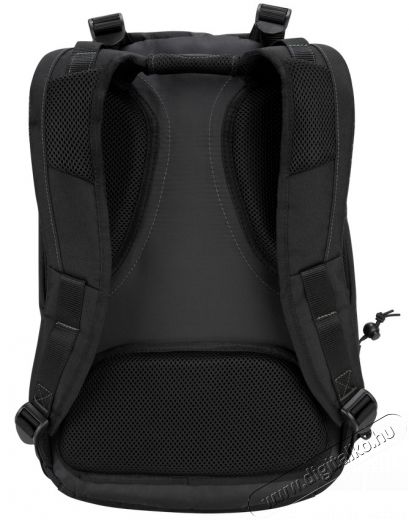 Targus TBB013EU Eco Spruce 15-15.6 notebook hátitáska Egyéb - Nem forgalmazzuk ! - 324975
