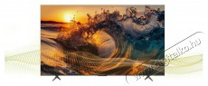 TCL 55P655 Smart LED Televízió, 139 cm, 4K,UHD, HDR, Google TV Televíziók - LED televízió - UHD 4K felbontású - 500702