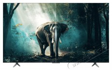 TCL 55P655 Smart LED Televízió, 139 cm, 4K,UHD, HDR, Google TV Televíziók - LED televízió - UHD 4K felbontású - 500702