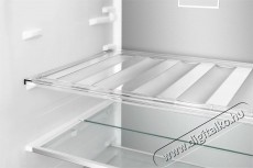 TCL RP382BXD0 Konyhai termékek - Hűtő, fagyasztó (szabadonálló) - Alulfagyasztós kombinált hűtő - 509447