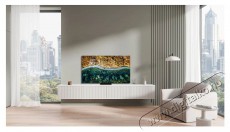 TCL 55C89K Televíziók - LED televízió - UHD 4K felbontású - 519215