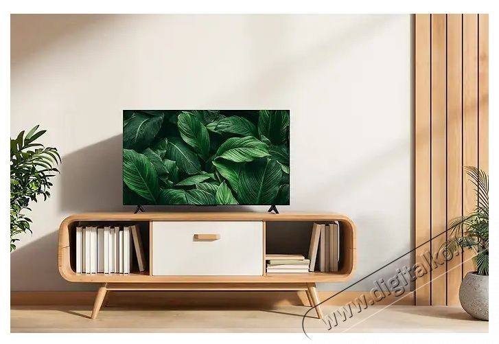 TCL QLED 50S5L telev&iacute;zi&oacute; Telev&iacute;zi&oacute;k - LED telev&iacute;zi&oacute; - UHD 4K felbont&aacute;s&uacute; - 540841