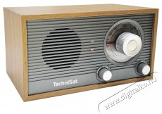 TechniSat FM Classic 205, gray / golden oak Audio-Video / Hifi / Multim&eacute;dia - R&aacute;di&oacute; / &oacute;r&aacute;s r&aacute;di&oacute; - Asztali r&aacute;di&oacute; - 526317