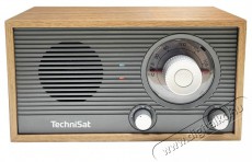 TechniSat FM Classic 205, gray / golden oak Audio-Video / Hifi / Multim&eacute;dia - R&aacute;di&oacute; / &oacute;r&aacute;s r&aacute;di&oacute; - Asztali r&aacute;di&oacute; - 526317