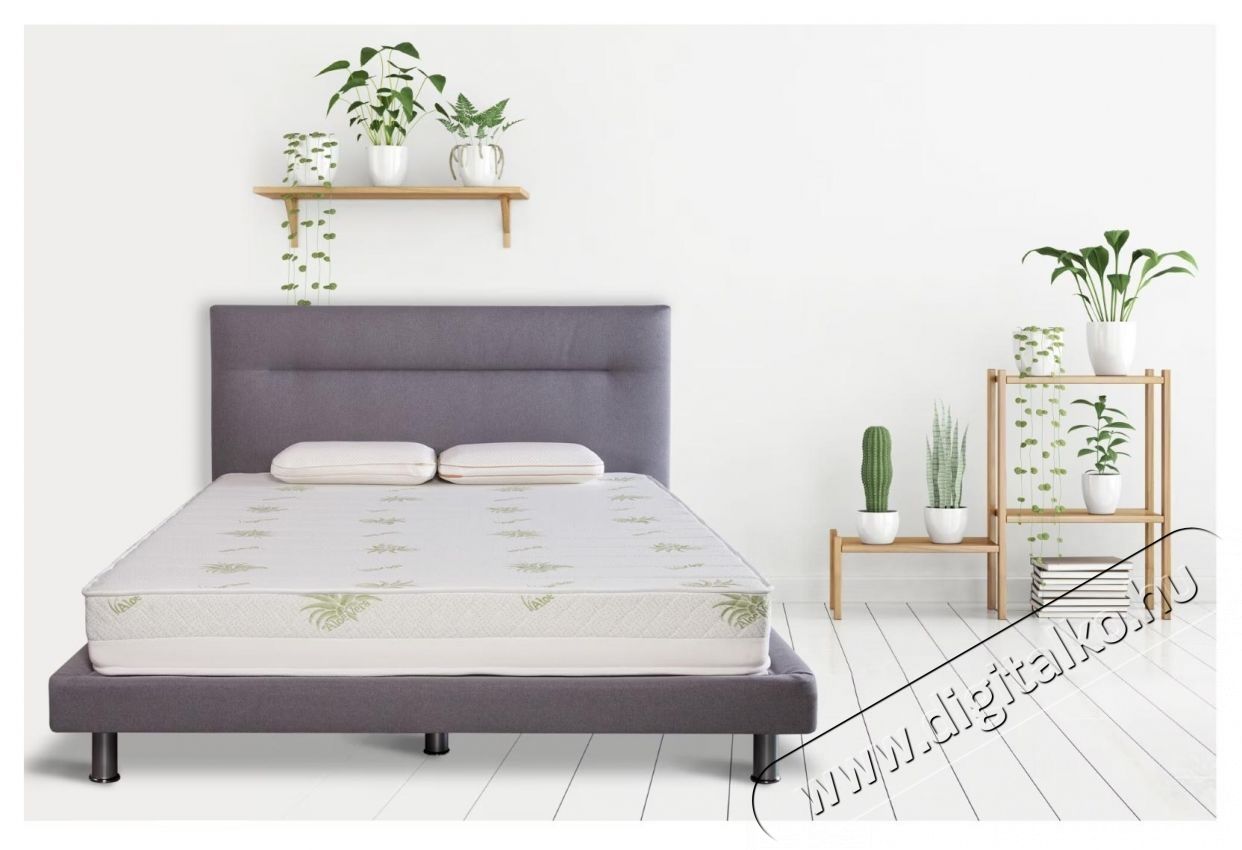 Ted Aloe Memory matrac, 19 cm, 180x200 cm Sz&eacute;ps&eacute;g&aacute;pol&aacute;s / Eg&eacute;szs&eacute;g - Egy&eacute;b sz&eacute;ps&eacute;g / eg&eacute;szs&eacute;g term&eacute;k - 537441