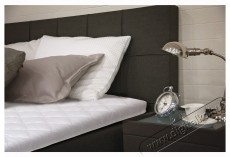 Ted Harmony Fedőmatrac, Antiallerg&eacute;n huzattal, 82x190x4cm - Sz&eacute;ps&eacute;g&aacute;pol&aacute;s / Eg&eacute;szs&eacute;g - Egy&eacute;b sz&eacute;ps&eacute;g / eg&eacute;szs&eacute;g term&eacute;k - 537439