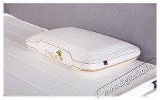 Ted Memory P&aacute;rna, Argan Deluxe Aero esszenci&aacute;val, elt&aacute;vol&iacute;that&oacute; moshat&oacute; huzat, 60x40x12cm Sz&eacute;ps&eacute;g&aacute;pol&aacute;s / Eg&eacute;szs&eacute;g - Egy&eacute;b sz&eacute;ps&eacute;g / eg&eacute;szs&eacute;g term&eacute;k - 537443