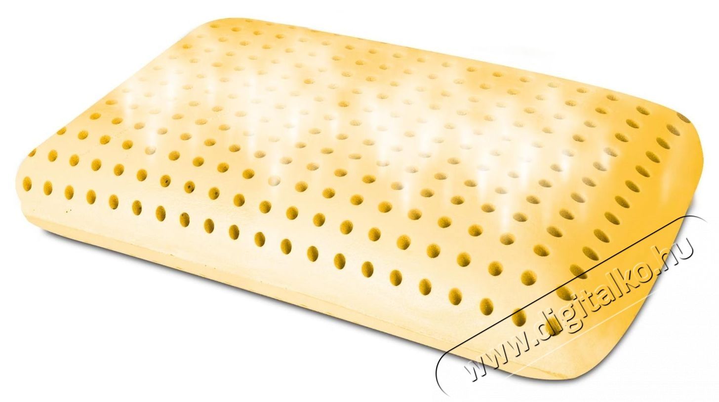 Ted Memory P&aacute;rna, Argan Deluxe Aero esszenci&aacute;val, elt&aacute;vol&iacute;that&oacute; moshat&oacute; huzat, 60x40x12cm Sz&eacute;ps&eacute;g&aacute;pol&aacute;s / Eg&eacute;szs&eacute;g - Egy&eacute;b sz&eacute;ps&eacute;g / eg&eacute;szs&eacute;g term&eacute;k - 537443