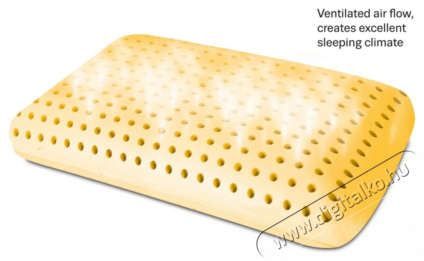 Ted Memory P&aacute;rna, Argan Deluxe Aero esszenci&aacute;val, elt&aacute;vol&iacute;that&oacute; moshat&oacute; huzat, 60x40x12cm Sz&eacute;ps&eacute;g&aacute;pol&aacute;s / Eg&eacute;szs&eacute;g - Egy&eacute;b sz&eacute;ps&eacute;g / eg&eacute;szs&eacute;g term&eacute;k - 537443