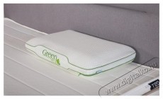 Ted Memory P&aacute;rna, Green Tea, elt&aacute;vol&iacute;that&oacute; moshat&oacute; huzat, 60x40x12 cm Sz&eacute;ps&eacute;g&aacute;pol&aacute;s / Eg&eacute;szs&eacute;g - Egy&eacute;b sz&eacute;ps&eacute;g / eg&eacute;szs&eacute;g term&eacute;k - 537448