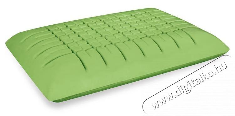 Ted Memory P&aacute;rna, Green Tea, elt&aacute;vol&iacute;that&oacute; moshat&oacute; huzat, 60x40x12 cm Sz&eacute;ps&eacute;g&aacute;pol&aacute;s / Eg&eacute;szs&eacute;g - Egy&eacute;b sz&eacute;ps&eacute;g / eg&eacute;szs&eacute;g term&eacute;k - 537448