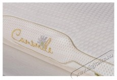 Ted Memory p&aacute;rna, Sleep Relax, elt&aacute;vol&iacute;that&oacute; moshat&oacute; huzat, 60x40x12 cm Sz&eacute;ps&eacute;g&aacute;pol&aacute;s / Eg&eacute;szs&eacute;g - Egy&eacute;b sz&eacute;ps&eacute;g / eg&eacute;szs&eacute;g term&eacute;k - 537447