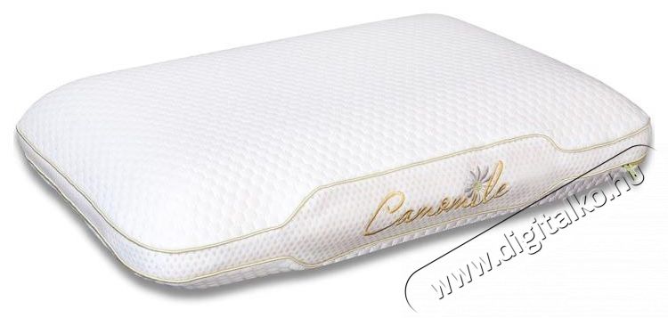 Ted Memory p&aacute;rna, Sleep Relax, elt&aacute;vol&iacute;that&oacute; moshat&oacute; huzat, 60x40x12 cm Sz&eacute;ps&eacute;g&aacute;pol&aacute;s / Eg&eacute;szs&eacute;g - Egy&eacute;b sz&eacute;ps&eacute;g / eg&eacute;szs&eacute;g term&eacute;k - 537447