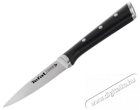 Tefal K2320514 Ice Force kés - 9 cm Konyhai termékek - Konyhai eszköz - Kés / olló - 361387