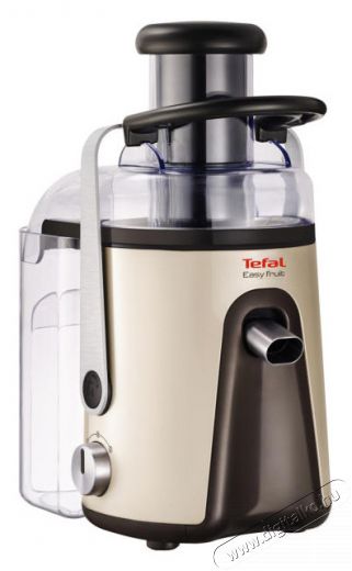 Tefal ZE585H38 Easy Fruit Juicer Silver Premium gyümölcscentrifuga Konyhai termékek - Konyhai kisgép (előkészítés / feldolgozás) - Gyümölcs centrifuga / prés - 294645