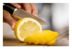 Tefal K2320514 szeletelő kés 9cm  Konyhai termékek - Konyhai eszköz - Kés / olló - 366947