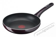 Tefal D5220483 serpenyő 24cm resist intense Konyhai termékek - Edény - Serpenyő - 379150